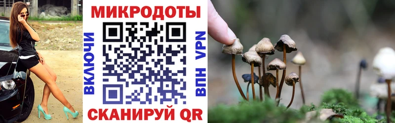 Купить закладки  Маркс  Псилоцибиновые грибы Psilocybe 